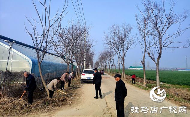 平輿縣十字路鄉：人居環境整治持續發力 促進“生態宜居星”再提升