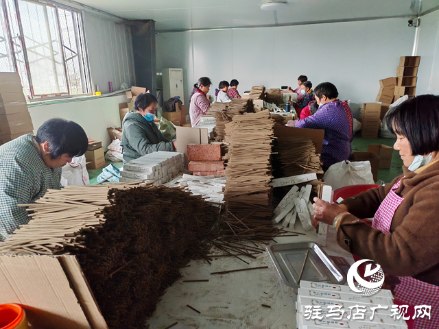 平輿縣玉皇廟鄉范寨村：艾草制成養生香 產品暢銷東南亞