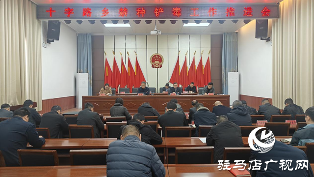 平輿縣十字路鄉：協同合作打出禁種鏟毒“組合拳” 