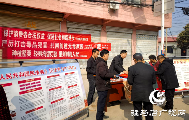 平輿縣十字路鄉：協同合作打出禁種鏟毒“組合拳” 