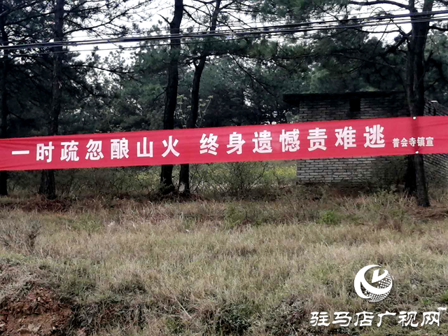 確山縣普會寺鎮：繃緊安全弦，筑牢防火墻