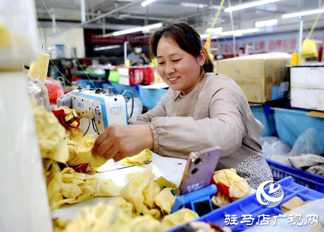 新蔡縣：小玩具帶動大產業