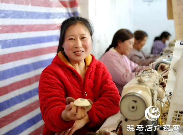 新蔡縣：小玩具帶動大產業