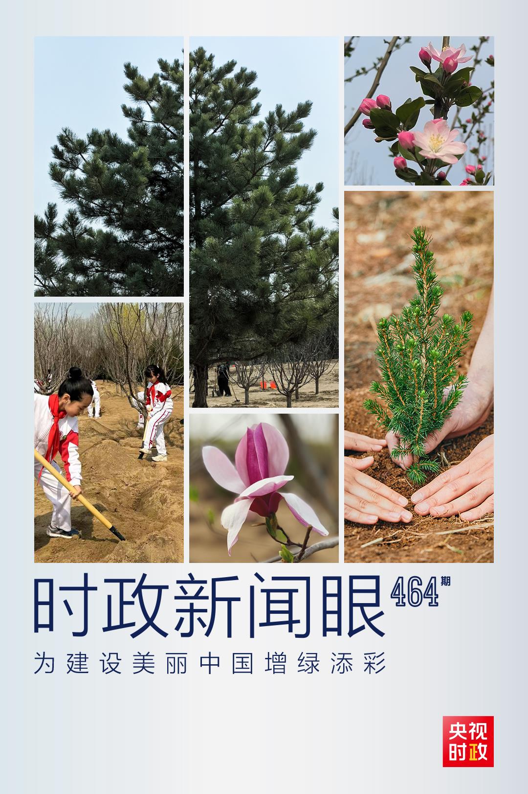 時政新聞眼丨再次參加首都義務植樹活動，習近平強調綠化祖國要三者并舉