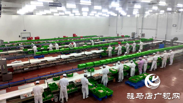 上蔡縣：打造“六最”營商環境  讓企業在高質量發展的藍圖上昂首奮進