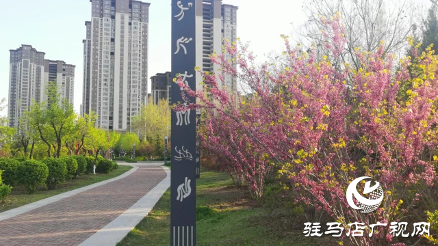 泌陽縣：春風吹綠梁河岸 生態畫卷展新顏