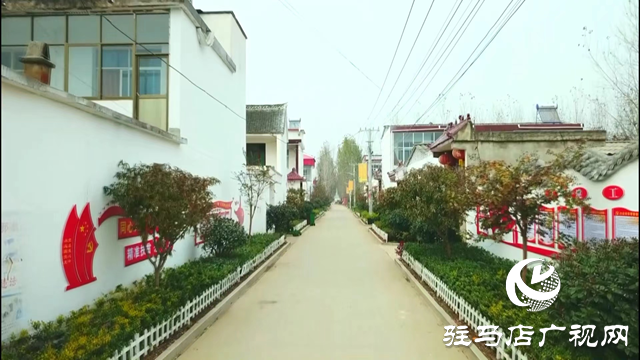 張全收：農民工的“貼心大哥” 群眾的致富領路人