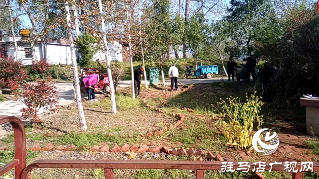 新蔡縣頓崗鄉：推動人居環境煥新顏 助力生態宜居星創建