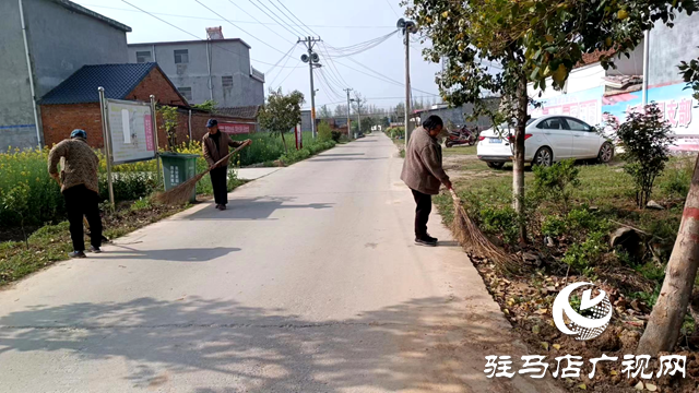 新蔡縣頓崗鄉：推動人居環境煥新顏 助力生態宜居星創建