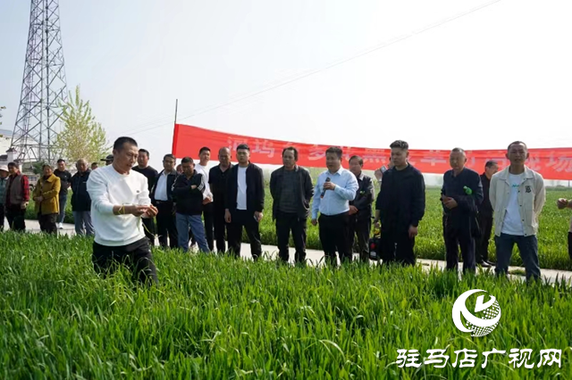 新蔡縣河塢鄉召開多花黑麥草防治理現場會