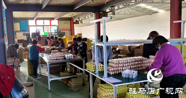 平輿縣李屯鎮：加快“三園”建設 助推產業騰飛