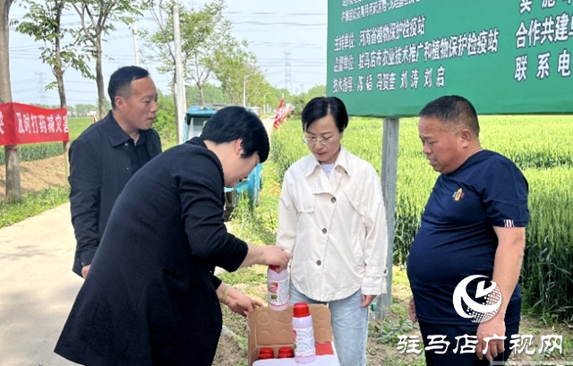 平輿縣2024年小麥“一噴三防” 暨重大病蟲害統防統治現場會舉行