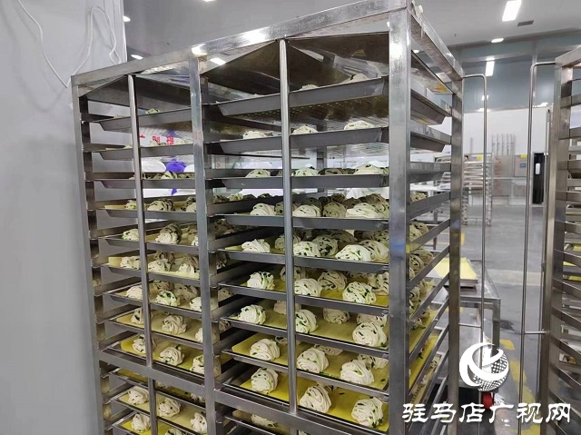 平輿縣西洋店鎮：加快鄉村振興產業園建設 為鎮域經濟發展注入新活力