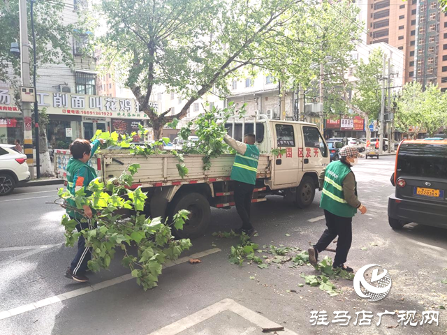 駐馬店經濟開發區：及時處置樹木斷枝 構造綠色安全防線