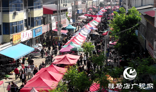 西平縣蘆廟鄉：舉辦物資交流大會 激發經濟新活力