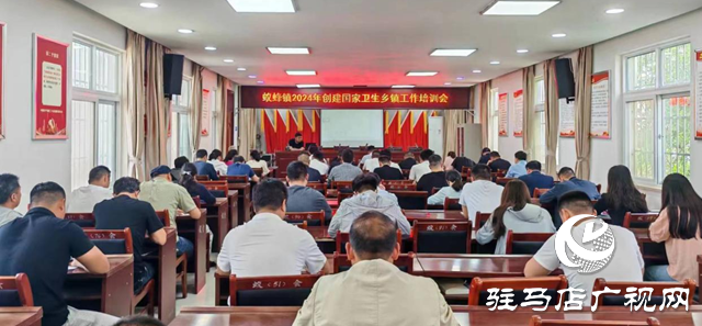 驛城區蟻蜂鎮：加強人員培訓 推動國家衛生鄉鎮創建