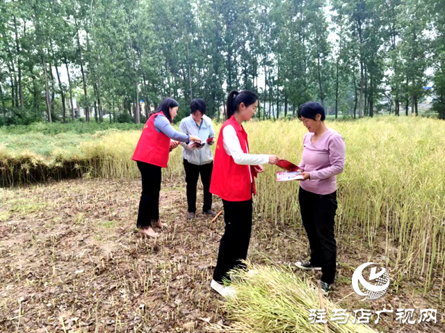 新蔡縣司法局：送法進鄉村 助力春耕生產