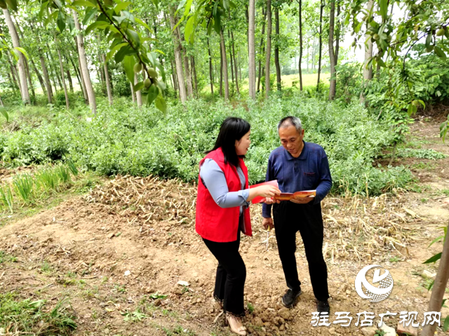 新蔡縣司法局：送法進鄉村 助力春耕生產