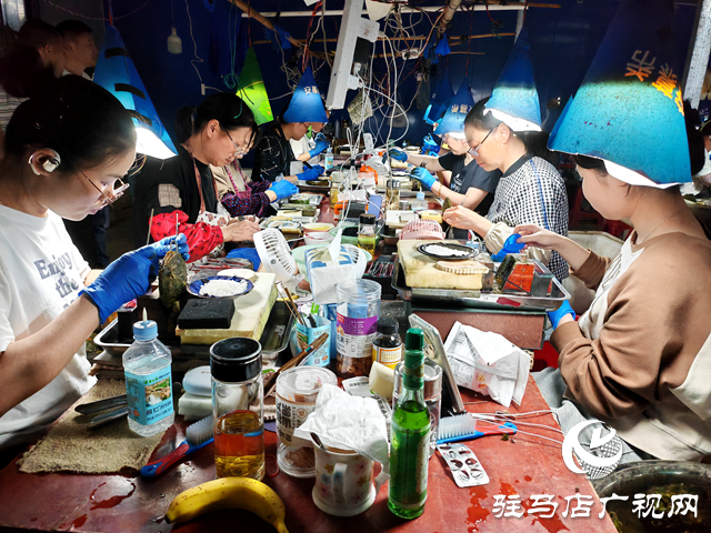 平輿縣老王崗鄉黃灣村：800畝汝河故道淡水養殖80萬只珍珠蚌助村民增收致富