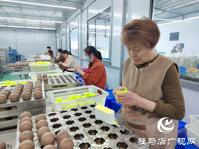 泌陽縣：聚焦項目建設抓突破 為鄉村振興注入新活力