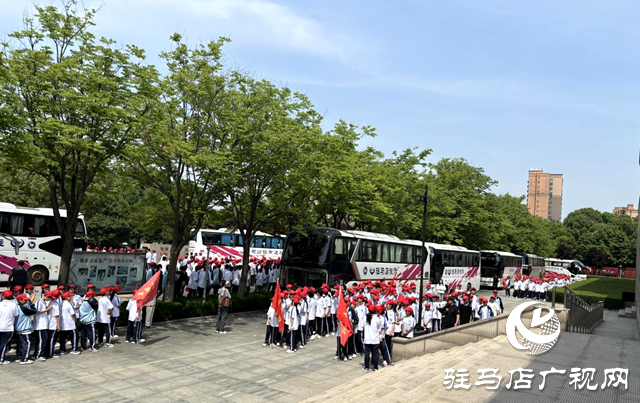 研學成風尚  “博物館熱”在駐馬店持續升溫