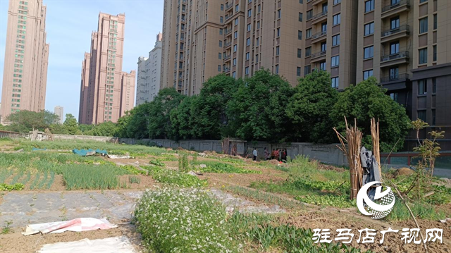  停留在規劃圖紙上的停車場