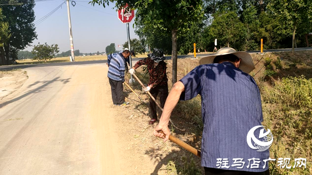 平輿縣十字路鄉：持續推進人居環境整治，繪就和美宜居新鄉村