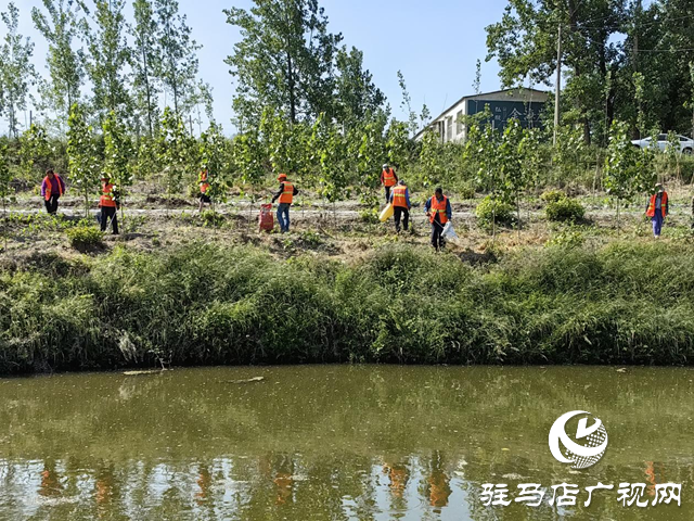 驛城區水屯鎮：開展河道清理整治 守護水清岸綠美景