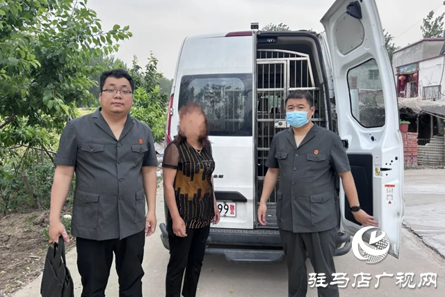 依法強制拘留4人！平輿縣人民法院夏日執行“風暴”來襲