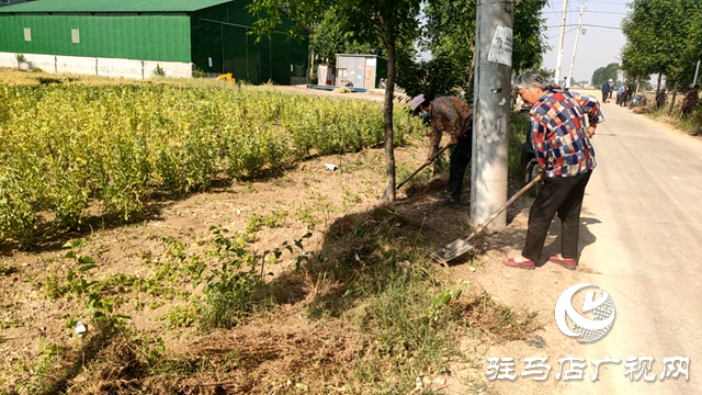 平輿縣十字路鄉：持續推進人居環境整治，繪就和美宜居新鄉村