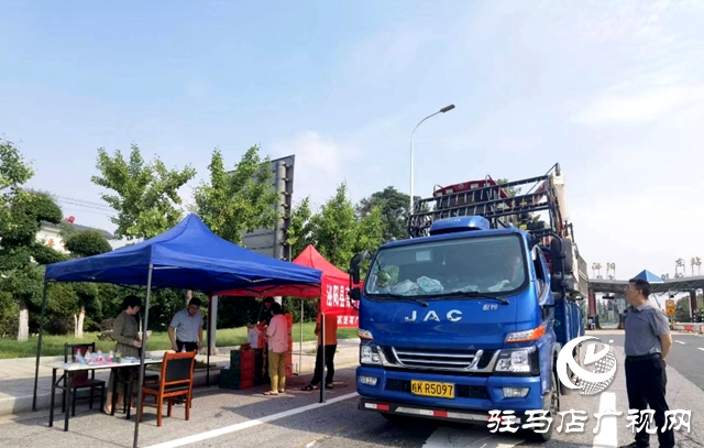 泌陽縣高邑鎮：靠前服務護麥香，不誤農時助豐收