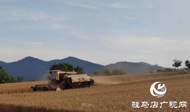 驛城區蟻蜂鎮：“秸”盡全力抓好“三夏”生產