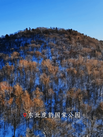 跟著總書記，從國家公園看“萬物共生”