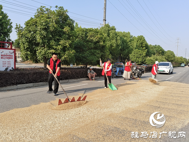 駐馬店經濟開發區賈莊居委會成立“三夏”生產服務應急小分隊幫助群眾收麥