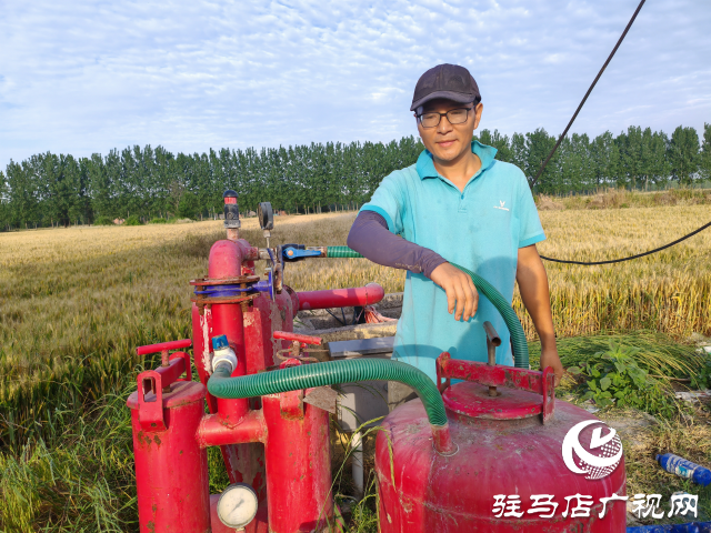 平輿縣射橋鎮西關居委會：“甜紅玉”甜瓜大豐收 結出增收致富“甜蜜果”