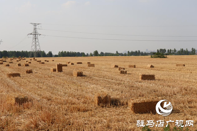 驛城區香山街道積極做好秸稈禁燒工作