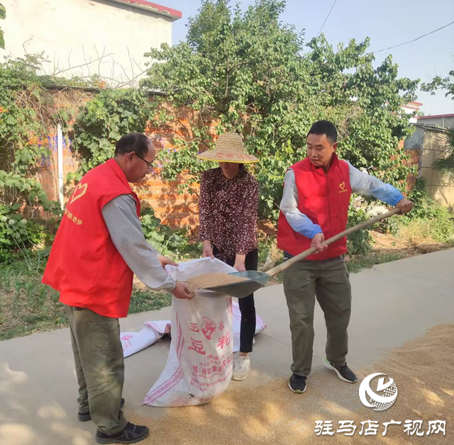 驛城區水屯鎮：麥田閃耀志愿紅 助力“三夏”解民憂