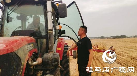 上蔡縣百尺鄉：新農人規模種糧走上致富路