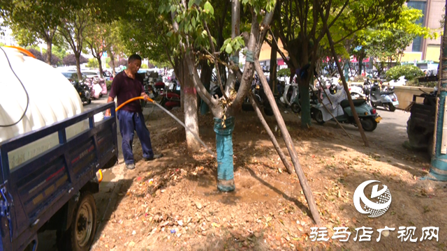 及時澆水 藥液滴灌 驛城區園林部門搶救游園干枯樹木