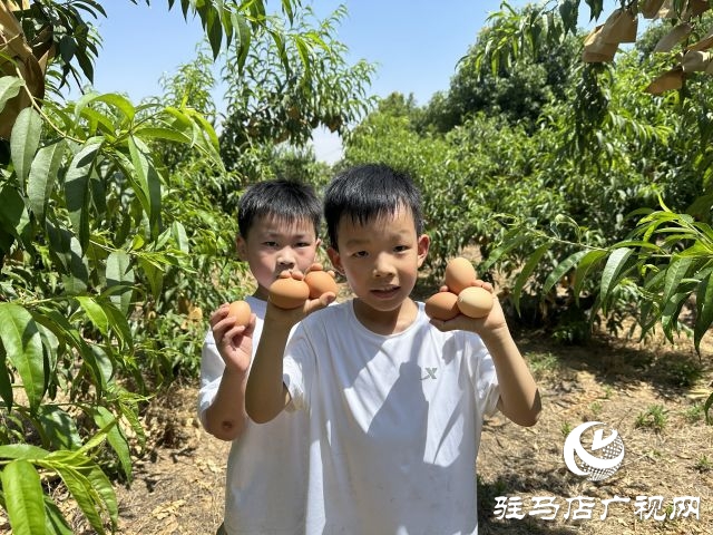駐馬店經濟開發區愛尚幼兒園：親子同行 共度六一 共享成長