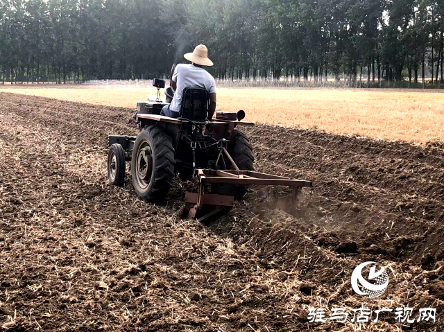 汝南縣農業農村局：指導群眾搶抓農時抗旱搶種