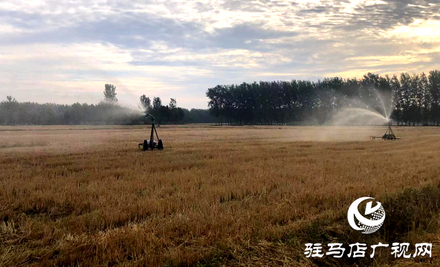 汝南縣農業農村局：指導群眾搶抓農時抗旱搶種
