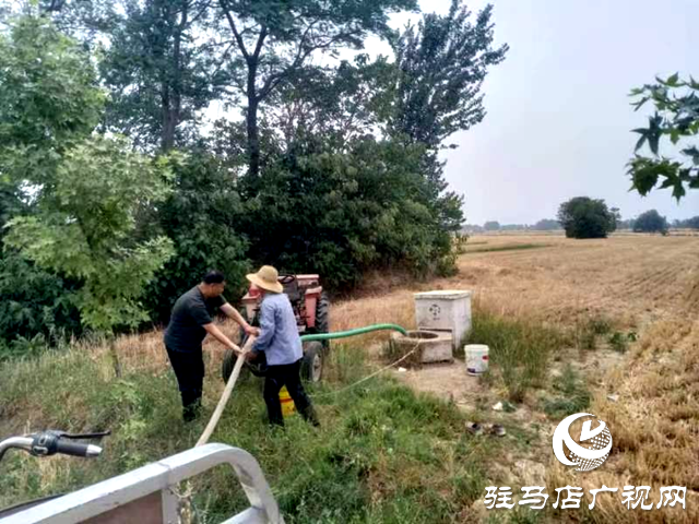 確山縣留莊鎮：抗旱搶種保夏播
