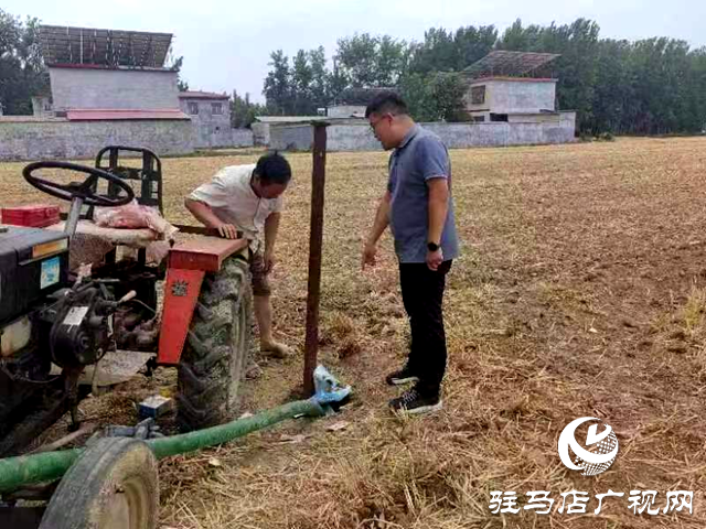 平輿縣李屯鎮：打響夏季抗旱保種攻堅戰