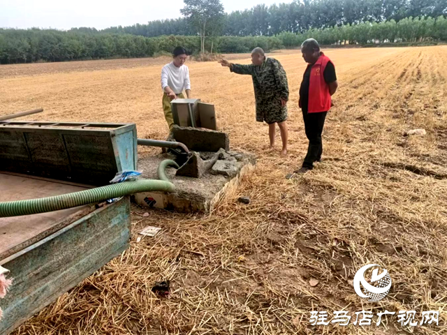 平輿縣李屯鎮：打響夏季抗旱保種攻堅戰
