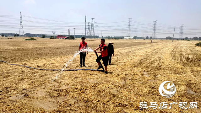 平輿縣辛店鄉：三級聯動“雙提升”助力抗旱搶種工作