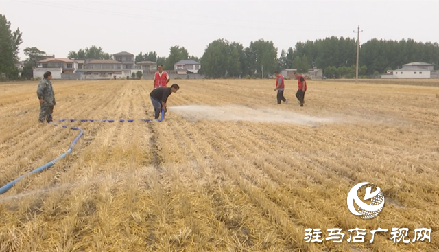 上蔡縣朱里鎮：積極抗旱保夏種