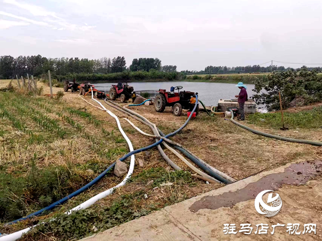 確山縣雙河鎮：多種舉措抗旱保秋