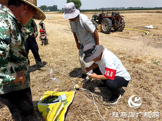 平輿縣十字路鄉：全力以赴齊發力 抗旱保苗奪豐收