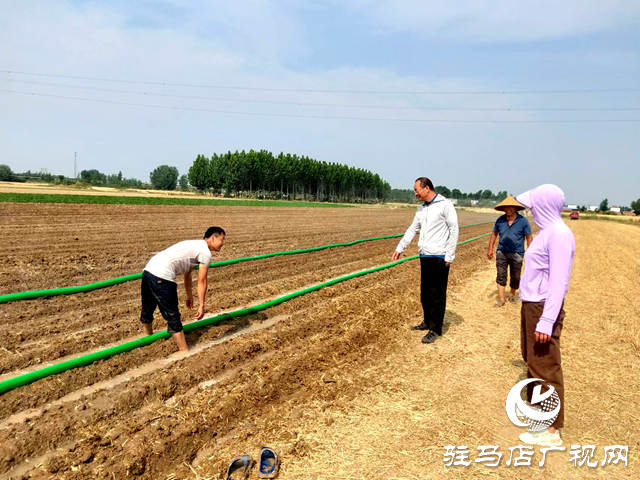 確山縣雙河鎮：多種舉措抗旱保秋